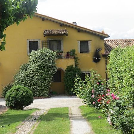 Villa Il Gelso Nero Castelnuovo di Farfa Esterno foto