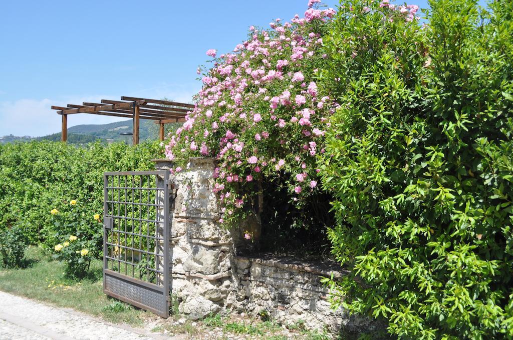 Villa Il Gelso Nero Castelnuovo di Farfa Esterno foto